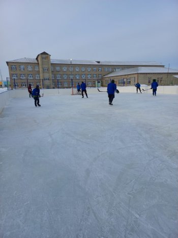 Хоккейные тренировки