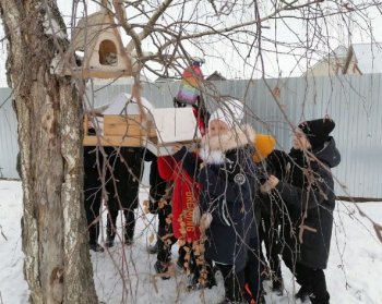 Акция «Покормите птиц зимой»