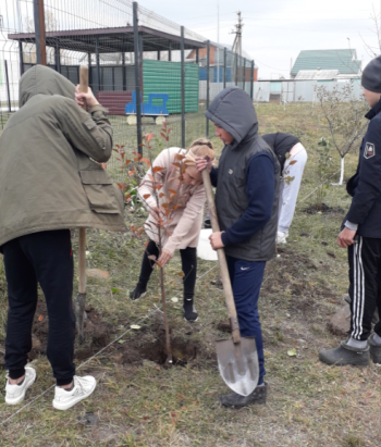 Акция «Посади дерево»